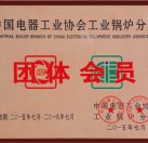 中國電器工業(yè)協會工業(yè)鍋爐分會團體會員